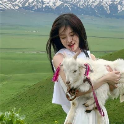 妖狐苏妲己